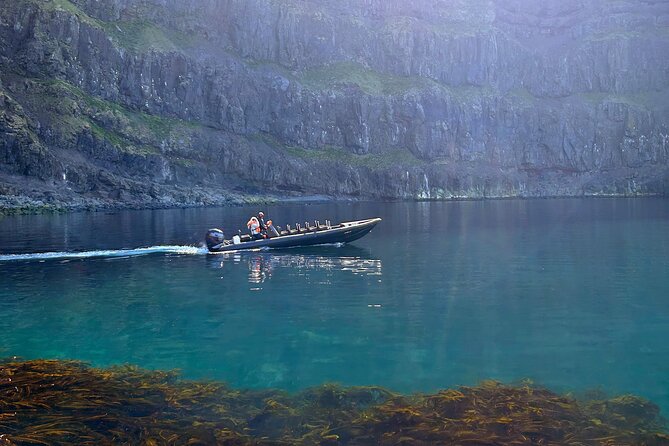 1 Hour Iceland Nature and Wildlife RIB Small Group Guided Safari - Key points to know before you book