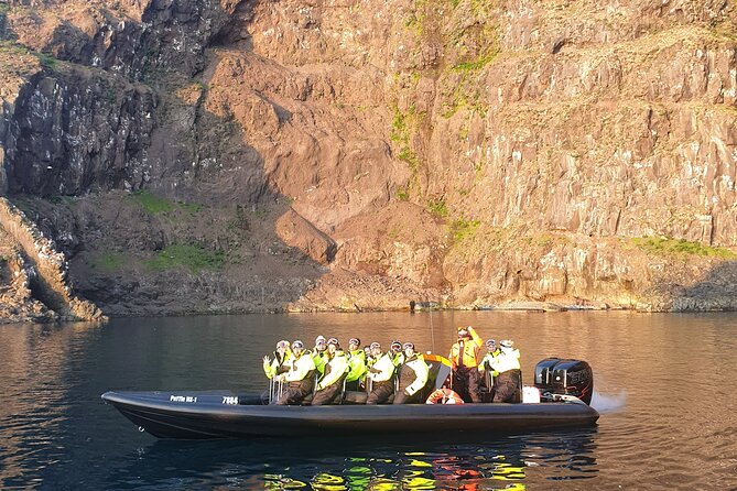 1 Hour Iceland Nature and Wildlife RIB Small Group Guided Safari - From Hafnarhólmi to the open water