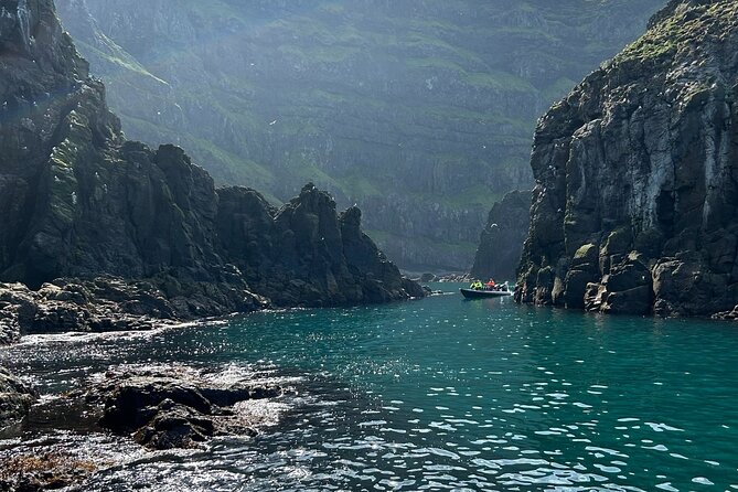 1 Hour Iceland Nature and Wildlife RIB Small Group Guided Safari - Puffins and the sea cliffs