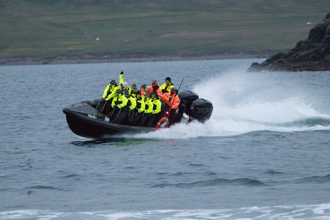 1 Hour Iceland Nature and Wildlife RIB Small Group Guided Safari - What the one-hour format really offers