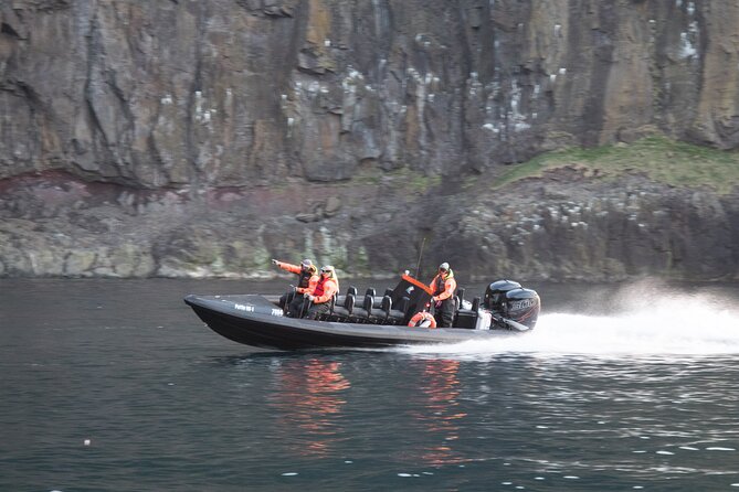 1 Hour Iceland Nature and Wildlife RIB Small Group Guided Safari - Weather can change the plan