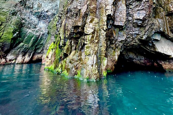 1 Hour Iceland Nature and Wildlife RIB Small Group Guided Safari - Who will enjoy this RIB safari most