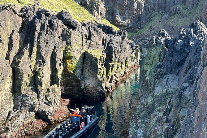 1 Hour Iceland Nature and Wildlife RIB Small Group Guided Safari - A fast ride along East Iceland’s wild coast