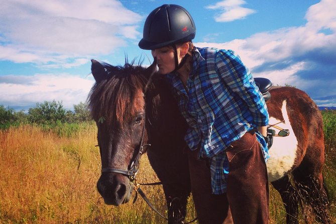 1+ hour Private Horse riding tour from Reykjavík/Mosfellsbær - Meeting Icelandic Horses at Akrar 2