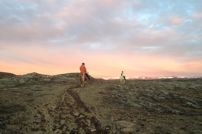 1+ hour Private Horse riding tour from Reykjavík/Mosfellsbær - Photos, Refreshments, and the Two-Hour Schedule