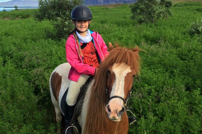 1+ hour Private Horse riding tour from Reykjavík/Mosfellsbær - Getting There From Reykjavík