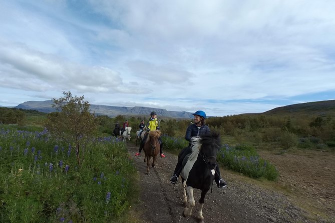 1+ hour Private Horse riding tour from Reykjavík/Mosfellsbær - Riding the Trails Around Mt. Úlfarsfell