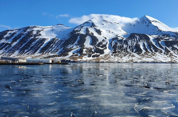 1-Hour Siglufjörður Stroll - How the $39.91 price measures up