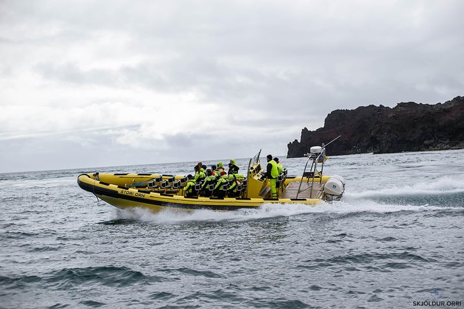 1-Hour Small Group Sightseeing Boat Tour in Vestmannaeyjar - Guides, captains, and the feel on board