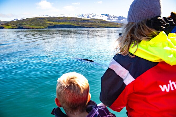 100% Whale Watching - Key points to know before booking