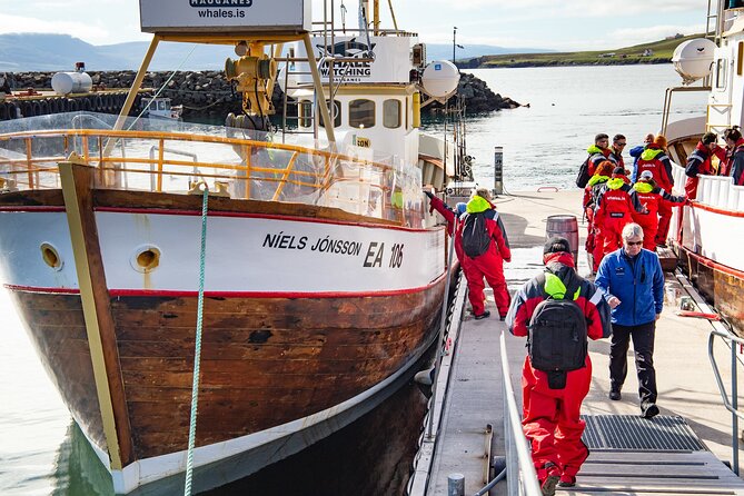 100% Whale Watching - From Akureyri to the Hauganes harbour