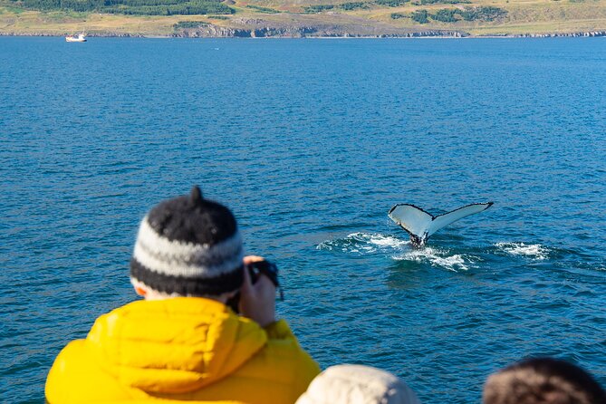 100% Whale Watching - Hot chocolate, cookies, and the practical comforts