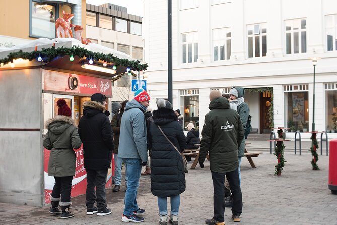 2-Hour Reykjavik Private Walking Tour - Starting downtown, with less wasted time