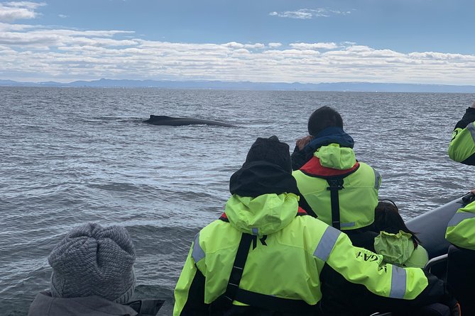2-Hour RIB Boat Whale Watching Tour from Reykjavik - The RIB ride across Faxaflói Bay