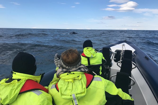 2-Hour RIB Boat Whale Watching Tour from Reykjavik - Weather, cancellations, and practical limits