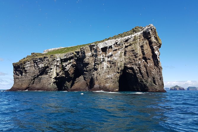 2 hour Round Trip in Vestmannaeyjar on a RIB Boat - Puffins and the busy sea cliffs