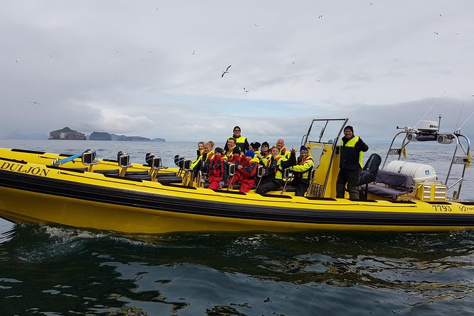 2 hour Round Trip in Vestmannaeyjar on a RIB Boat - Is $247.39 a fair price?