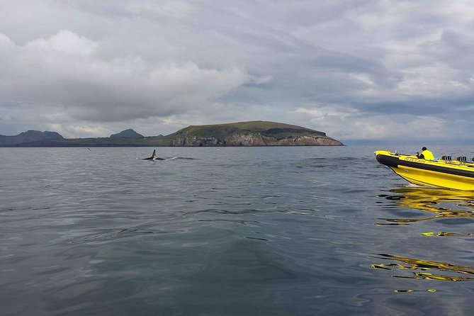 2 hour Round Trip in Vestmannaeyjar on a RIB Boat - Who should book this ride?