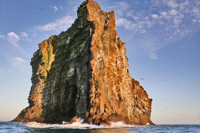 2 hour Round Trip in Vestmannaeyjar on a RIB Boat - Sea caves, cliffs, and Elephant Rock