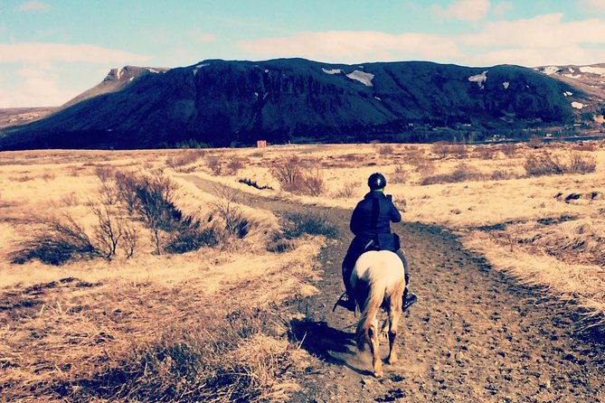 2 hours Private Horse Riding to Lake Hafravatn, Reykjavík - Mos - Why this private ride feels different