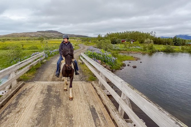 2 hours Private Horse Riding to Lake Hafravatn, Reykjavík - Mos - What to wear and bring from home