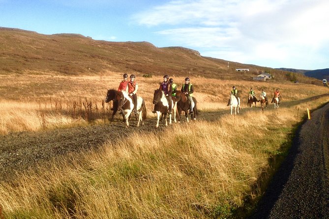 2 hours Private Horse Riding to Lake Hafravatn, Reykjavík - Mos - Booking, timing, and cancellation details