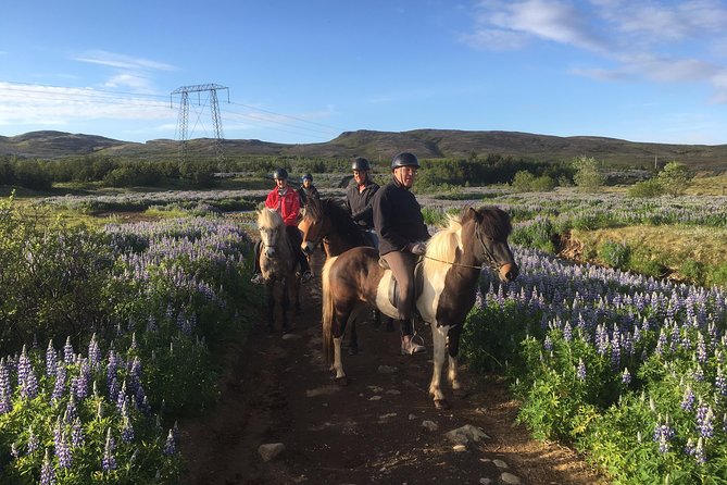 2 hours Private Horse Riding to Lake Hafravatn, Reykjavík - Mos - Learning the Icelandic tölt
