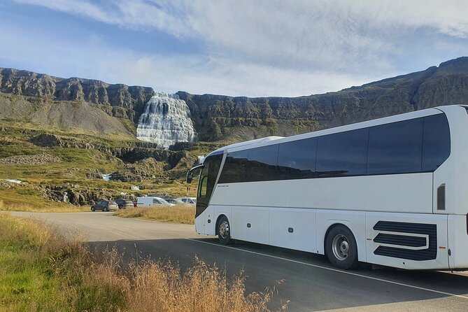 3,5-Hour Sightseeing Tour To Dynjandi Waterfall - Weather Can Shape the Whole Experience