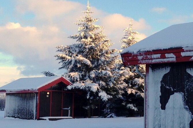 5-Days Land of Northern Lights Tour from Reykjavík - Thingvellir and Iceland’s story