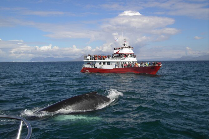 6 Day Iceland Ring Road Highlights Tour With Accommodation - Day 3: East Iceland and a choice of geothermal comfort