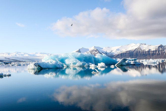 7 Day Iceland with Reykjavik Blue Lagoon Snæfellsnes | Golden Circle | South.... - Reykjavik by hop-on hop-off bus