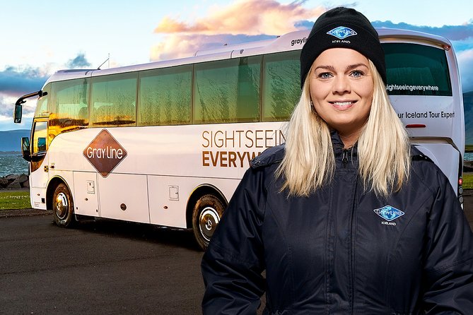 Airport Express Shared Arrival Transfer from Keflavik Airport to Reykjavik Hotels - Timing, comfort, and group size