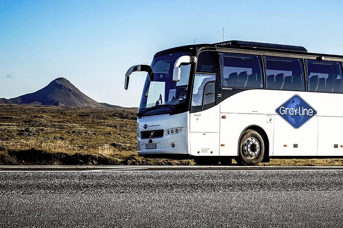 Airport Express Shared Arrival Transfer from Keflavik Airport to Reykjavik Hotels - Who will appreciate this transfer most