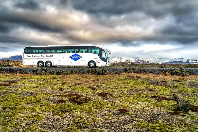 Airport Express Shared Departure Transfer from Reykjavik Hotels to Keflavik Airport - The Bus Terminal Change