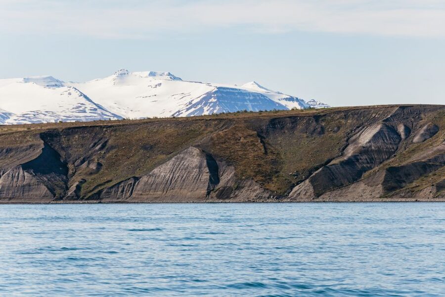 Akureyri: 3-Hour Classic Whale Watching Tour by Ship - Is $108 a good value?
