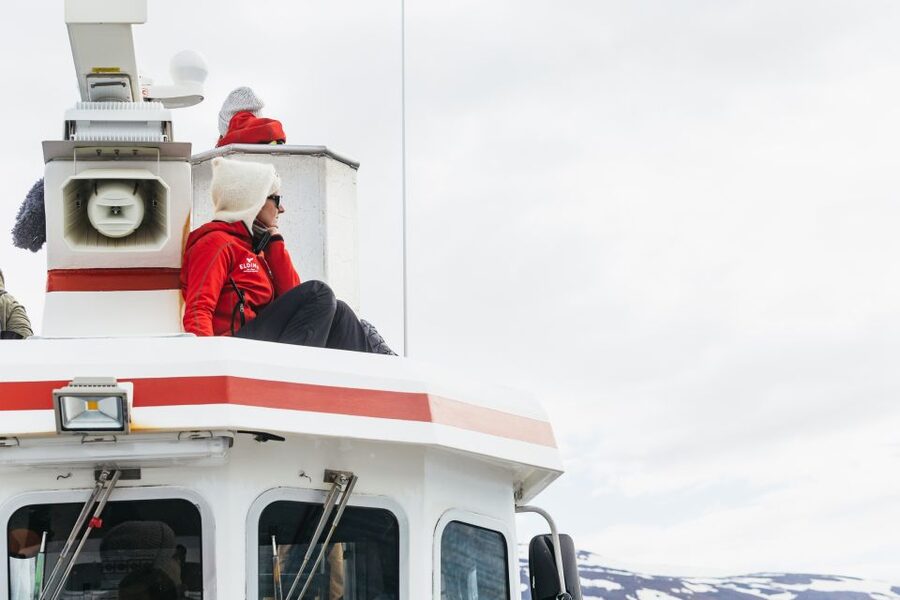 Akureyri: 3-Hour Classic Whale Watching Tour by Ship - Guides who make the quiet stretches useful