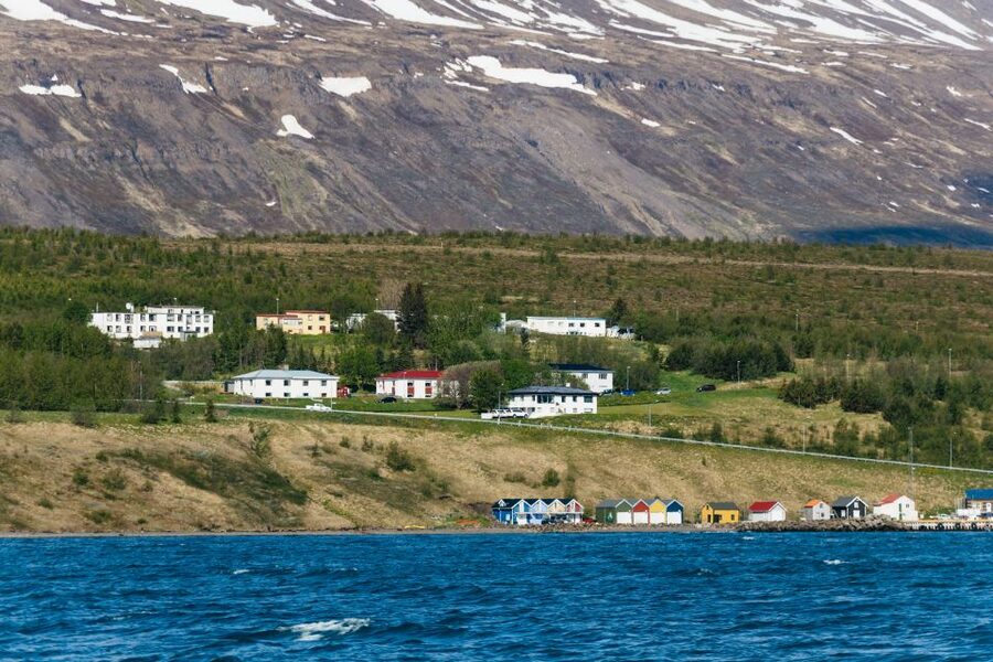 Akureyri: 3-Hour Classic Whale Watching Tour by Ship - Winter whale watching is colder, not necessarily poorer