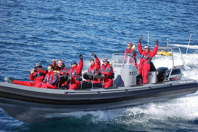 Akureyri Express Whale Watching by RIB boat - What two hours really gives you