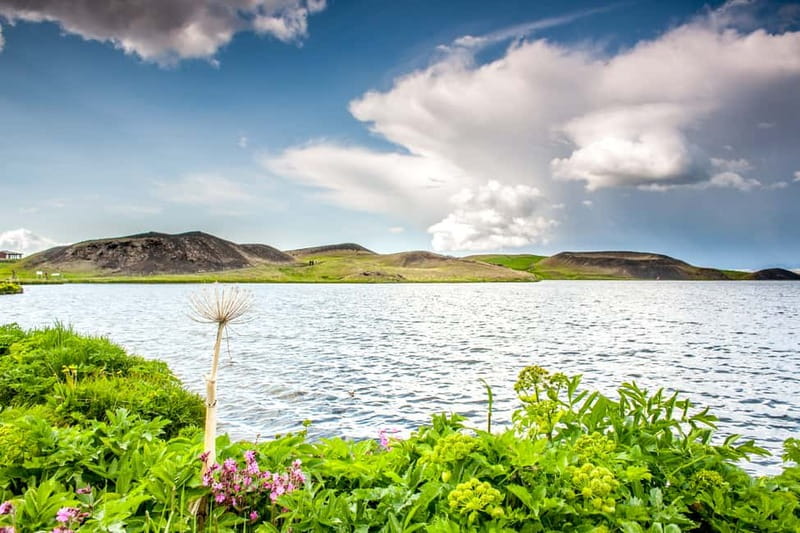 Akureyri Port: Lake Mývatn & Goðafoss Guided Tour with Lunch - Why this North Iceland day trip works from Akureyri