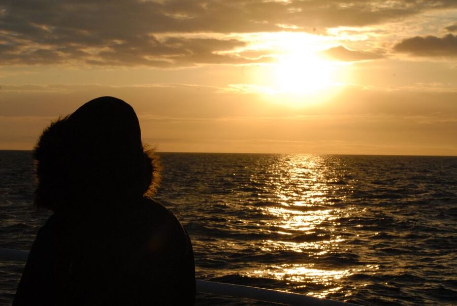 Akureyri: Whale Watching in the Midnight Sun - What the whale encounter may look like