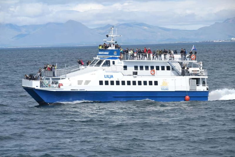 Akureyri: Whale Watching Shore Excursions - Staying warm on the fast catamaran
