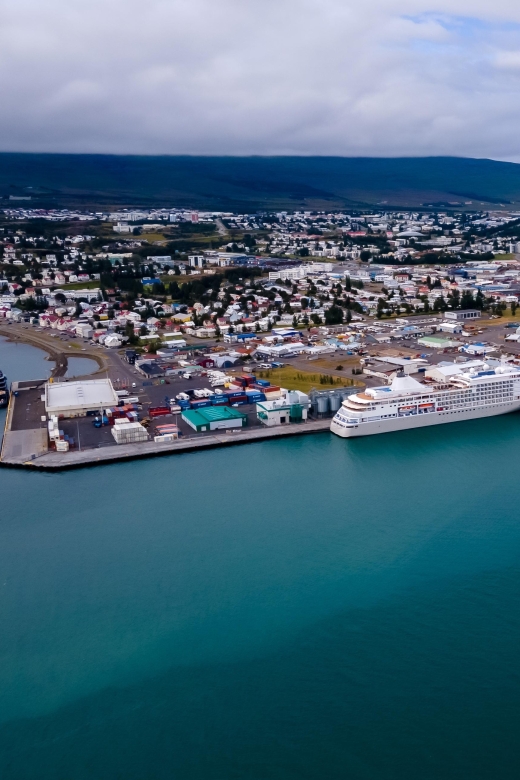 Akureyri: Whale Watching Shore Excursions - The 2.5-hour schedule and the timing issue