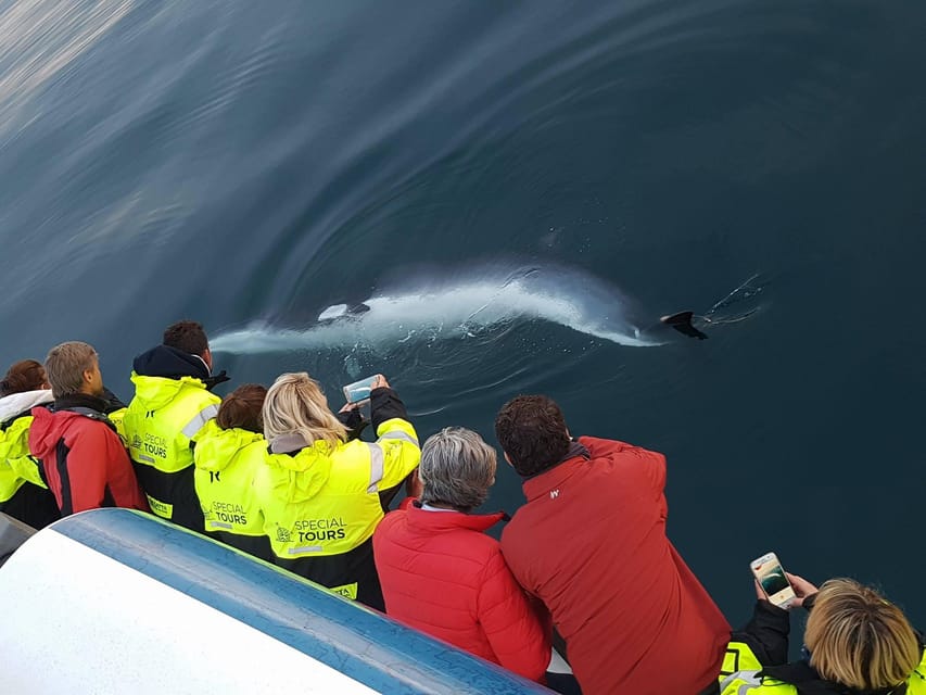 Akureyri: Whale Watching Tour & Forest Lagoon Entrance - Making the harbor-to-lagoon connection