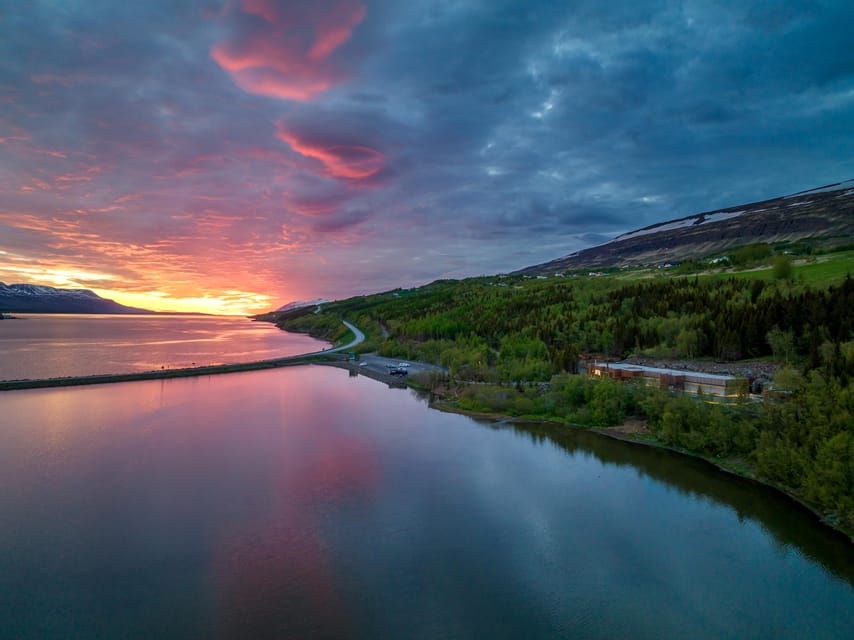 Akureyri: Whale Watching Tour & Forest Lagoon Entrance - Is $159 a fair price?