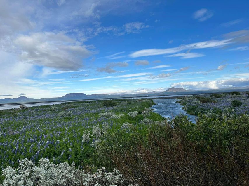 ATV guided trip close to dettifoss iceland - Who should book this ATV experience?