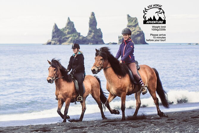 Black Sand Beach Horse Riding Tour from Vik - Meeting Iceland’s distinctive horses near Vik