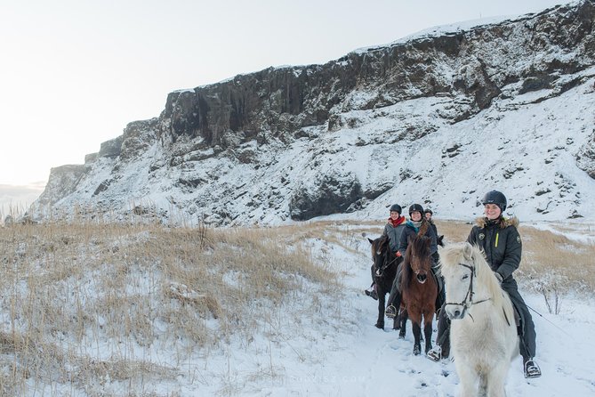 Black Sand Beach Horse Riding Tour from Vik - How the one-hour itinerary works