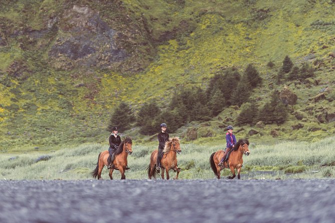 Black Sand Beach Horse Riding Tour from Vik - Who should choose this horse ride?