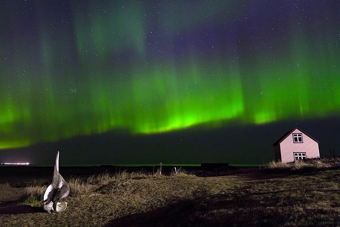 Blue Lagoon and Northern Lights Tour Including Admission - What to bring for the night search