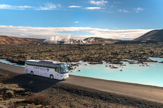 Blue Lagoon Return Bus Transfer from Reykjavik - What the 58 dollar price really buys you